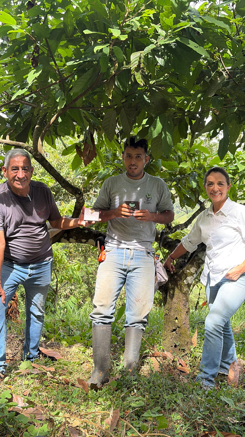 Nuestro Equipo